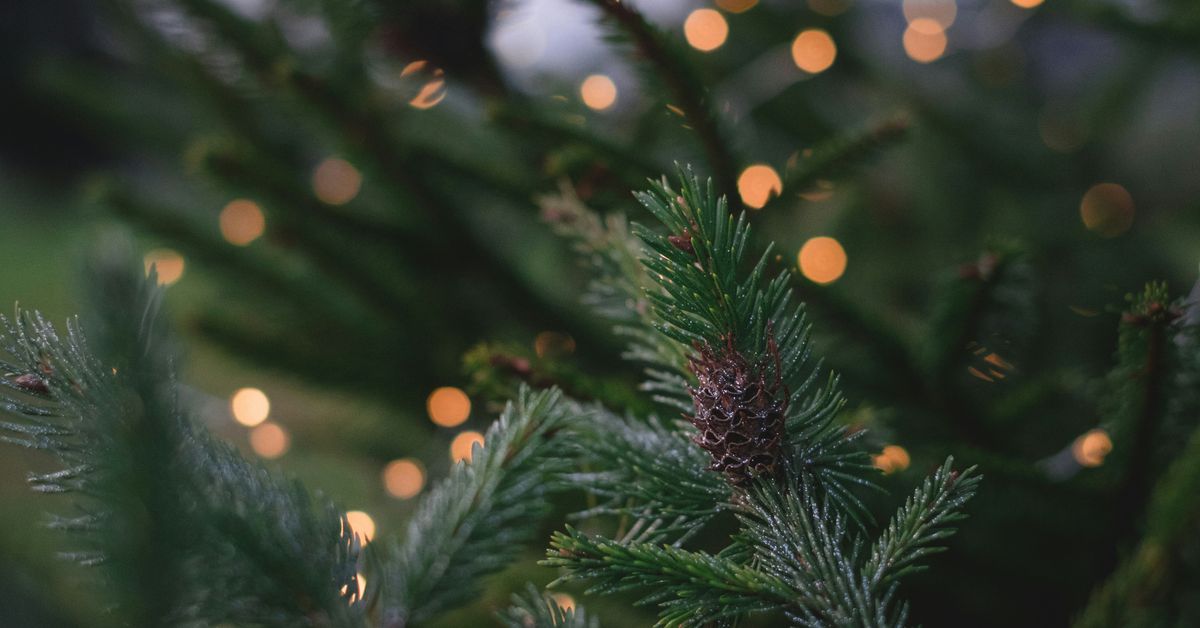 Holiday Breakfast Ideas Festive Morning Meals