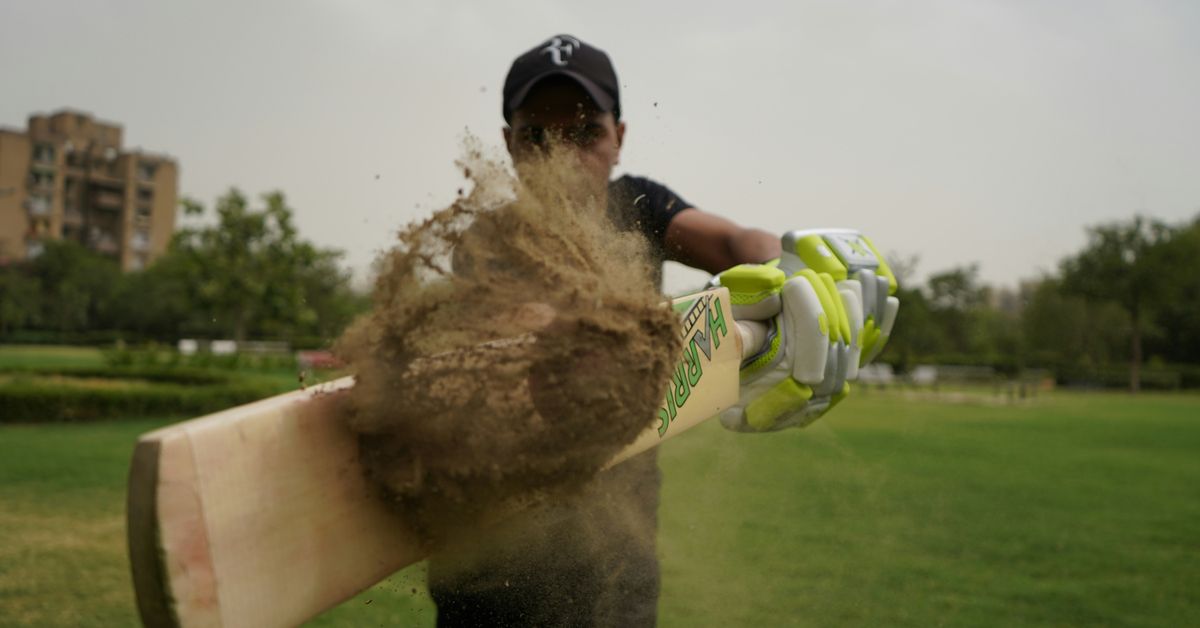 Cultural Significance of National Sports Competitions