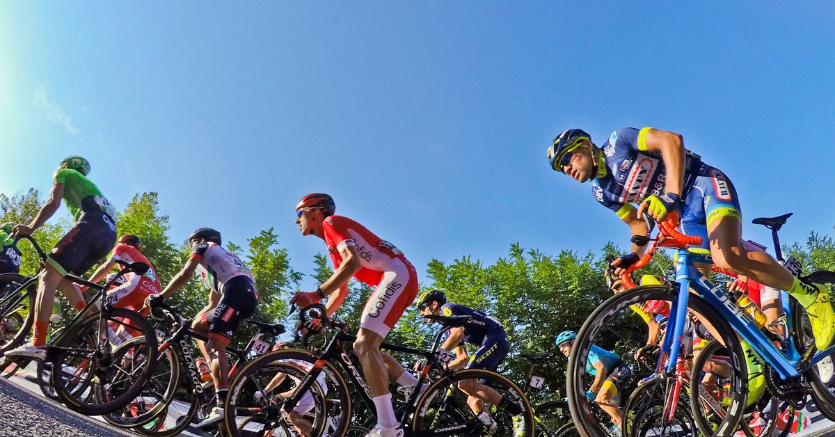 Nutritions Role in Athletic Performance Fueling Champions
