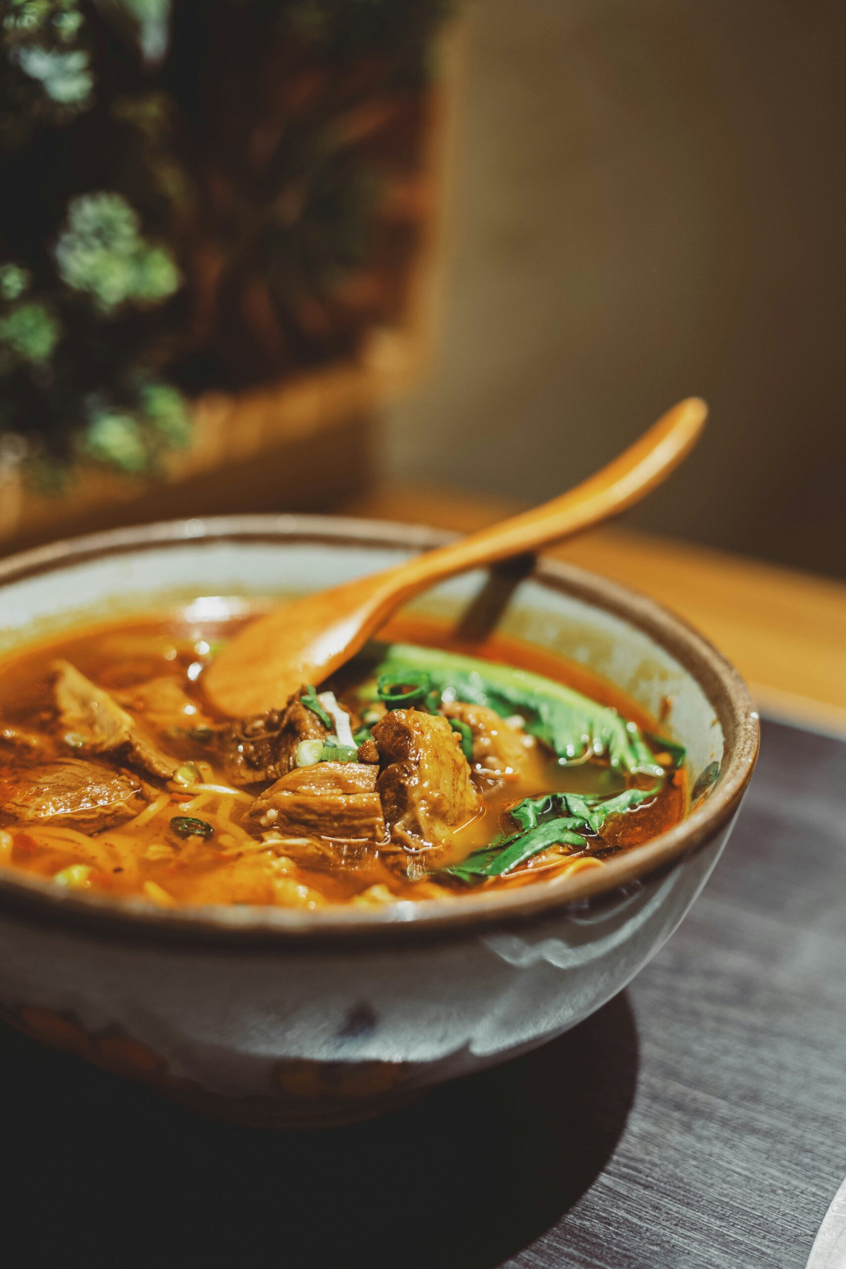 Asian Noodle Soups Ramen Pho and Beyond