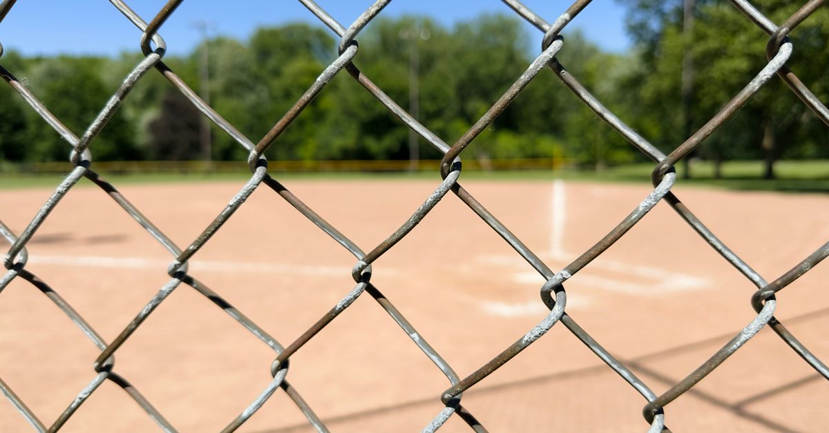 Economic Impact of Sports Media Rights