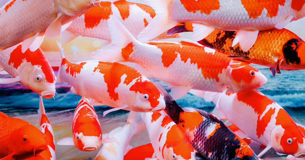 Cooking with Seafood Fresh and Flavorful Recipes