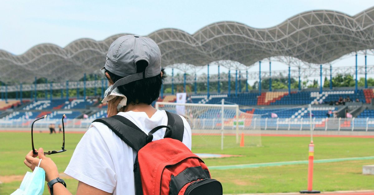 Mental Health Support Systems for Athletes