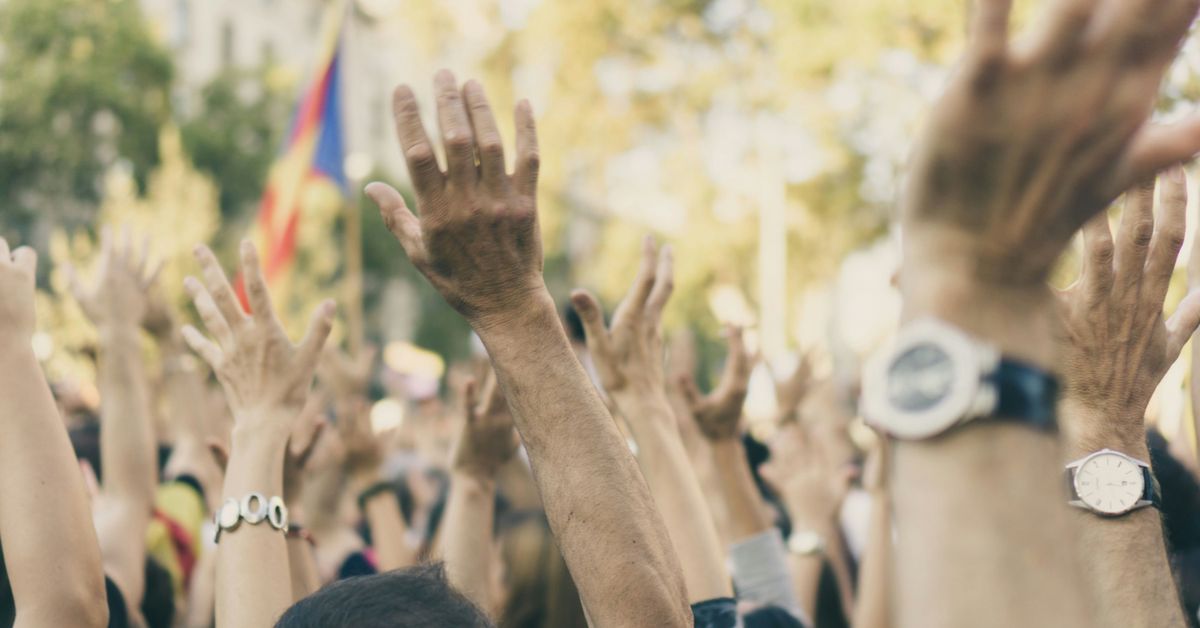 Political Movements Voices for Change in 2024