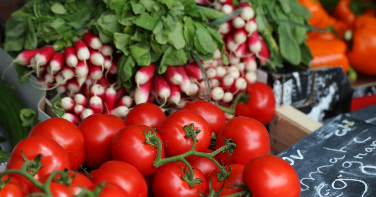 Farm-to-Table Dining Fresh and Local Ingredients