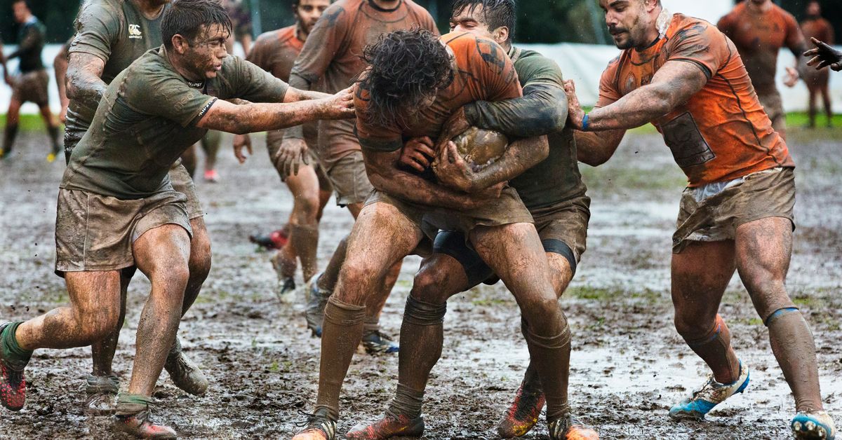 Cultural Significance of Sports Legends