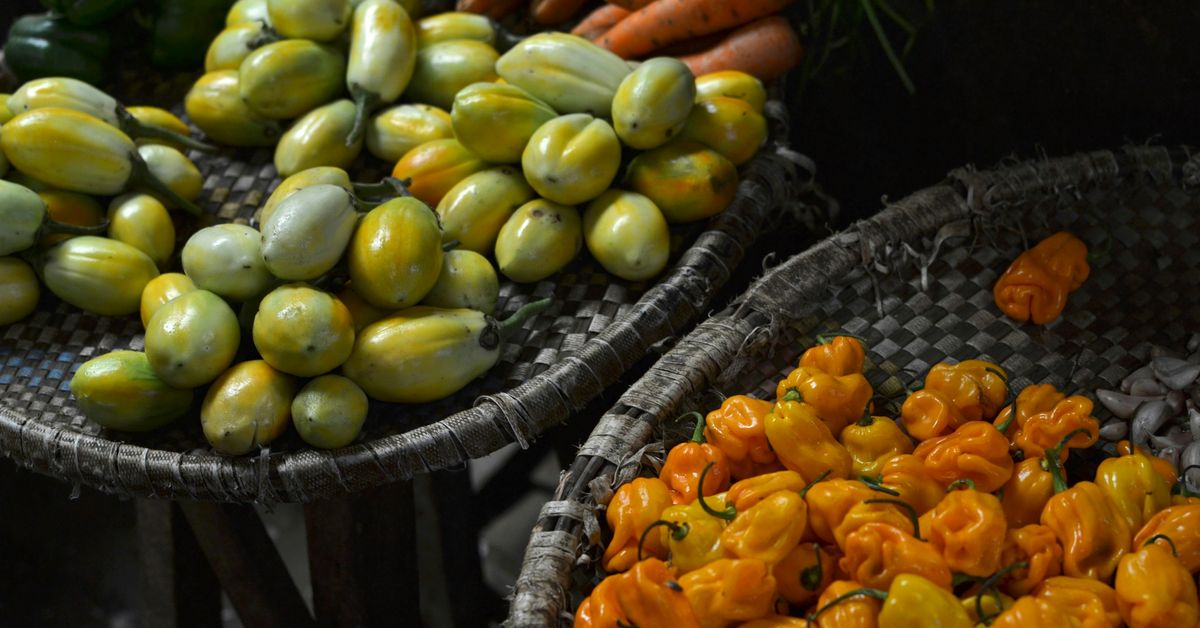 Farm-to-Table Dining Fresh and Local Ingredients