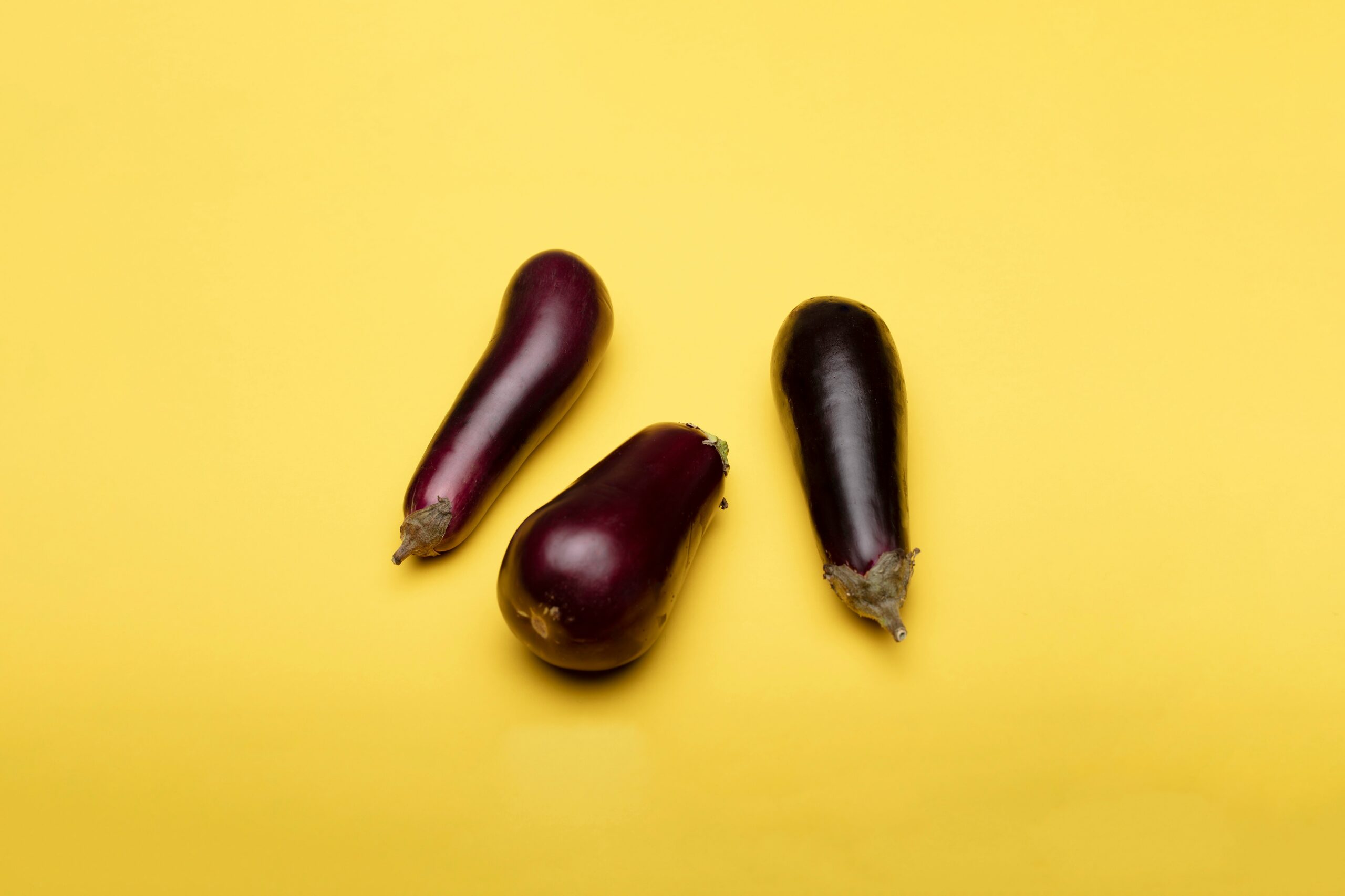 Eggplant Recipes Versatile and Flavorful